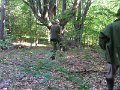 Polovnicke zdruzenie-Lipie   15